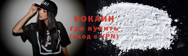 молекула духа Бородино