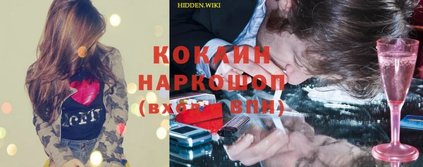 молекула духа Бородино