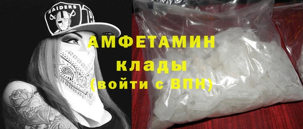 молекула духа Бородино
