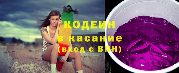 молекула духа Бородино